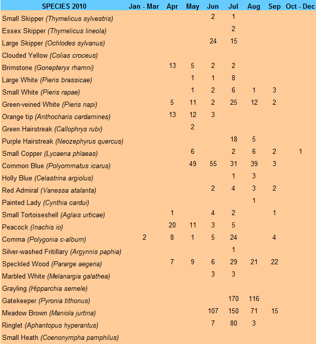Monthly Count 2010