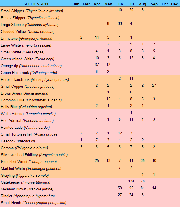 Monthly Count 2011