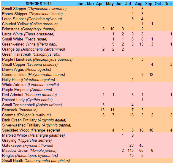 Monthly Count 2013