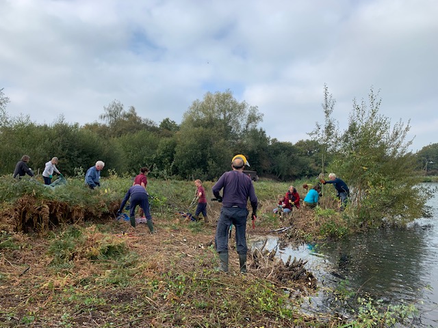 Clearing the shoreline