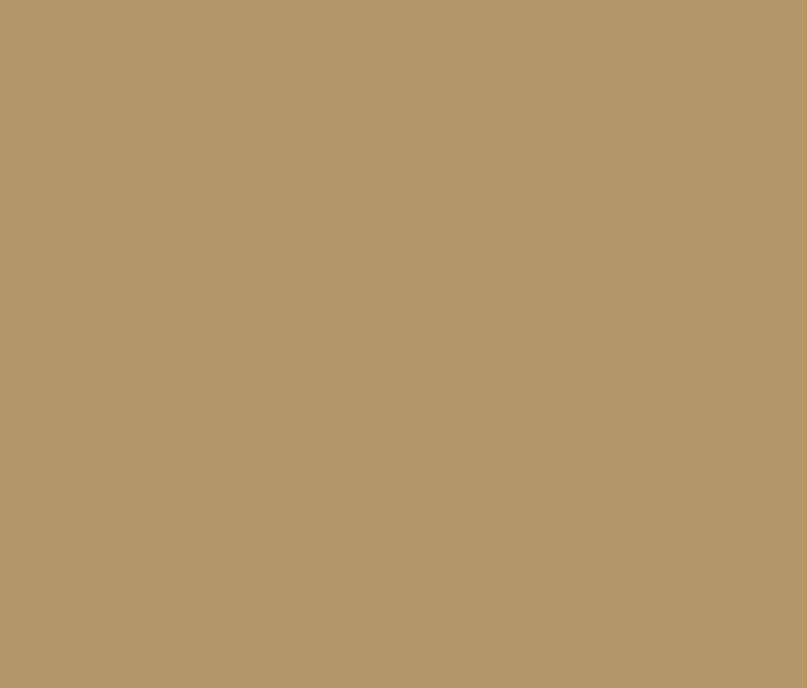 Mute Swan